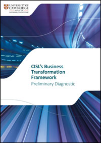 Download CISL’s Business Transformation Framework: Preliminary Diagnostic