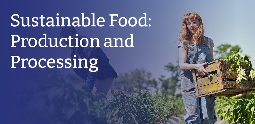 Two people working in a sunlit vegetable field, one bending to tend the plants and the other carrying a wooden crate filled with freshly harvested produce.