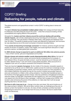 CISL’s COP27 briefing