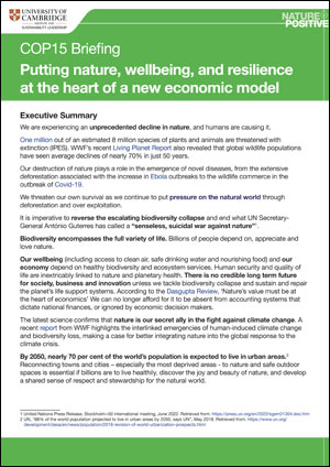 CISL’s COP15 briefing