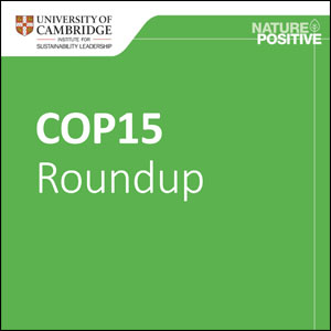 CISL’s COP15 roundup