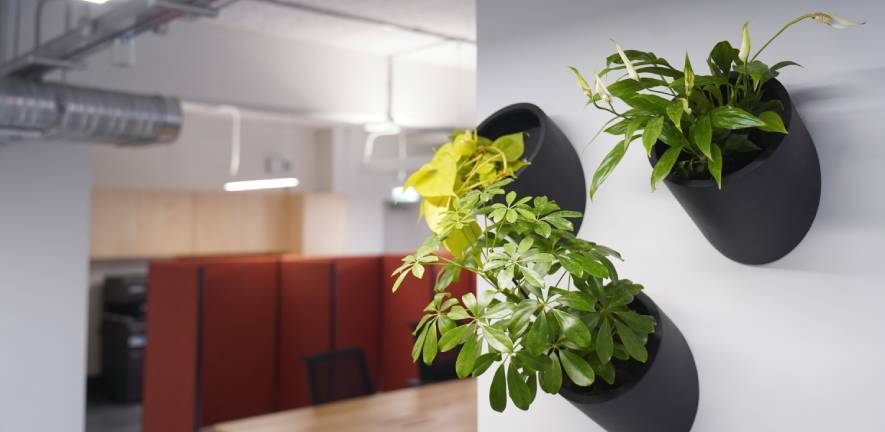 Green plants growing in wall-mounted planters at the Entopia Building