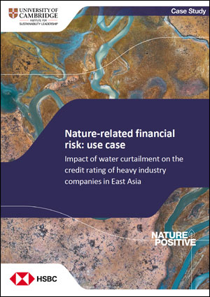 Impact of water curtailment on the credit rating of heavy industry companies in East Asia (HSBC)