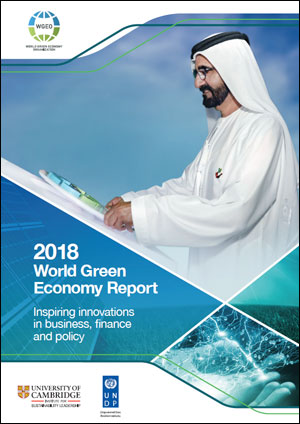 2018 World Green Economy Report