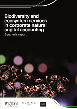 A new report, which is the result of a unique collaboration between business and academia, highlights the challenges and opportunities for businesses in factoring biodiversity into their decision-making.