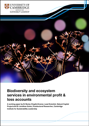 Biodiversity and ecosystem working paper