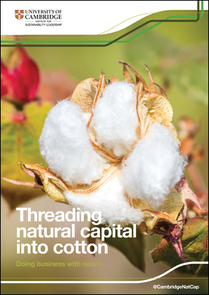 Threading-Cotton-Natural-Ca.png