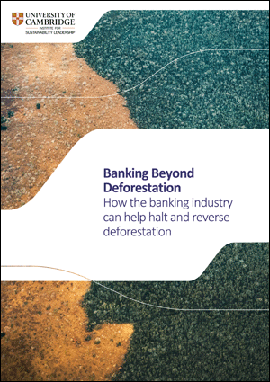 Banking Beyond Deforestation