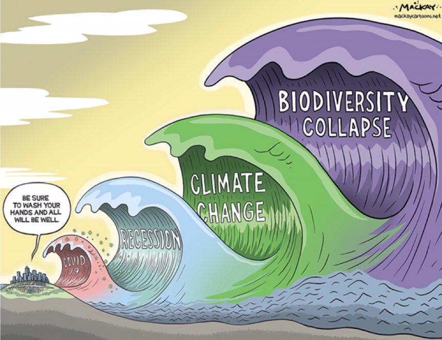 Biodiversity Collapse - Four waves