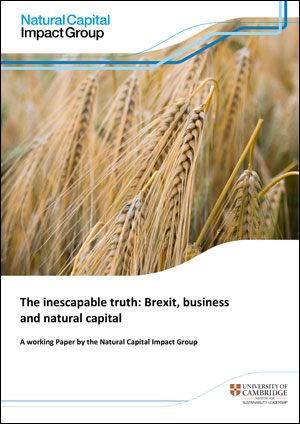 Brexit Business and Natural Capital