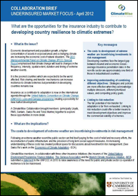 Building Resilience Developing Countries