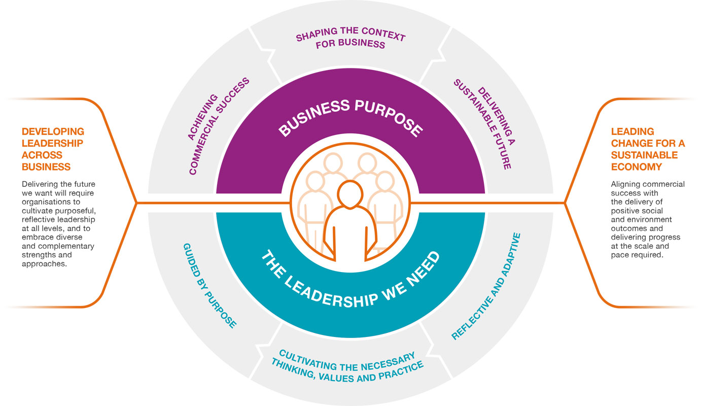 Cambridge Impact Leadership Model