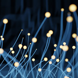 Centre for Business Transformation