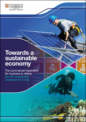 CISL SDG report