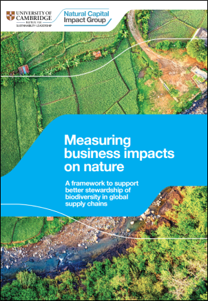 Measuring Business Impacts on Nature