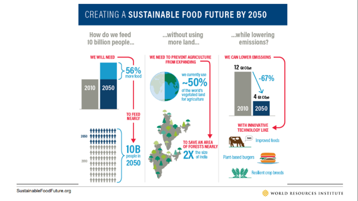 Creating a Sustainable Future by 2050
