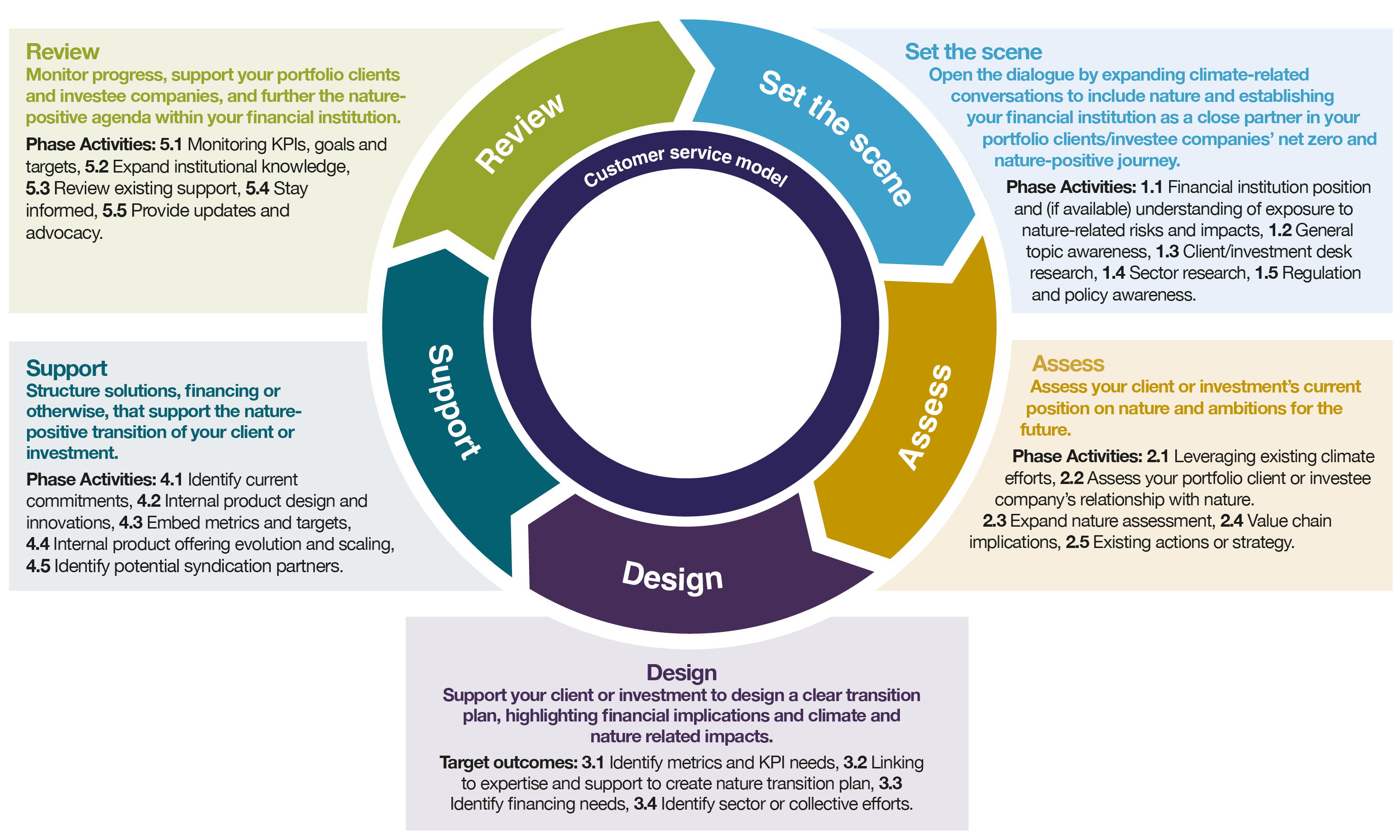  Review, Set the scene, Assess, Design, Support