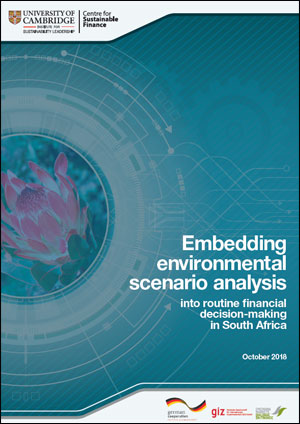 Embedding Environmental Scenario Analysis Into Routine Financial Decision Making In Mexico And South Africa Cambridge Institute For Sustainability Leadership