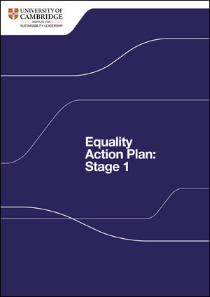 equality action plan