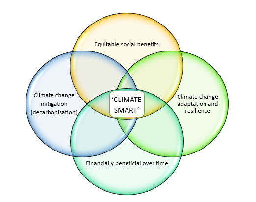 Venn diagram showing the four overlapping concepts of 'Climate Smart': Climate change mitigation (decarbonisation), Equitable social benefits, Climate change adaptation and resilience, and Financially beneficial over time. 