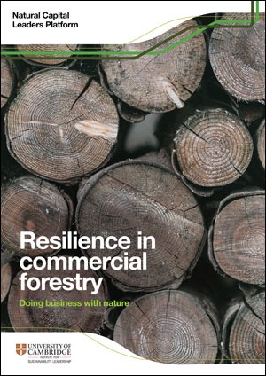 Forestry report