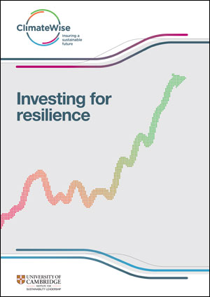 Investing for resilience