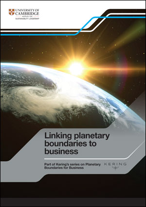 Linking planetary boundaries to business