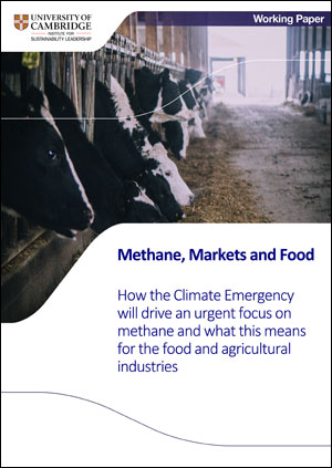 Methane, Markets and Food