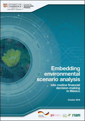 Embedding Environmental Scenario Analysis Into Routine Financial Decision Making In Mexico And South Africa Cambridge Institute For Sustainability Leadership