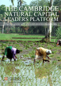 The Linking Landscapes & Livelihoods assessment framework explores potential challenges companies may experience in engaging with smallholders, identifies options for responding to challenges and finally explores possible means for measuring the impact of