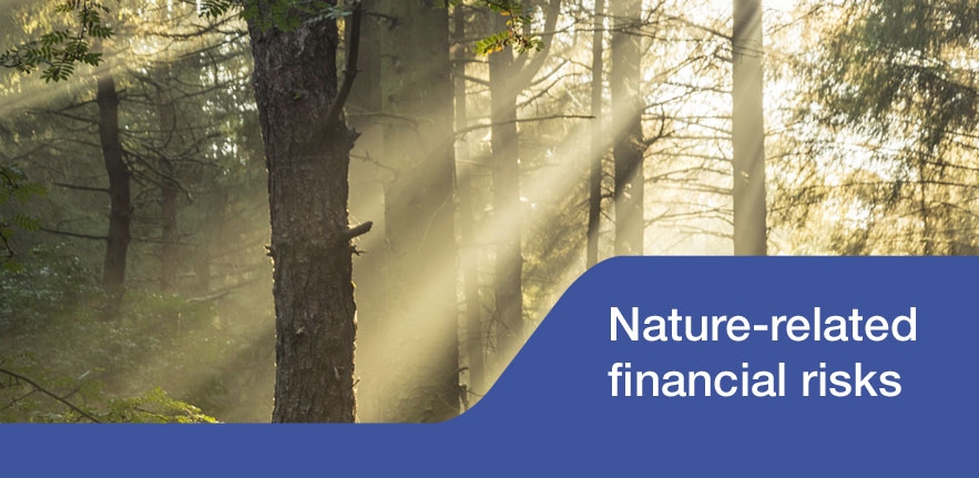 Nature related financial ri