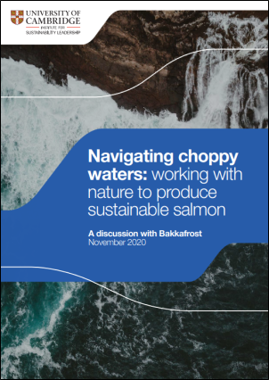 Navigating choppy waters