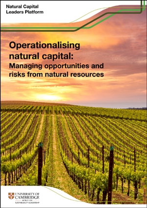 Operationalising NatCap