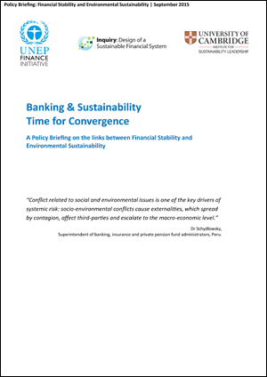 Policy briefing Financial large