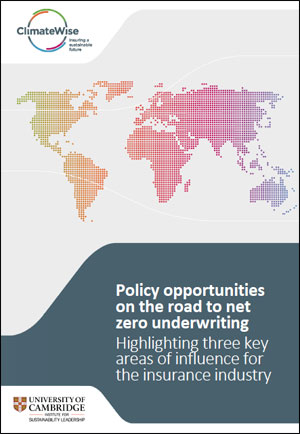 Policy opportunities on the road to net zero underwriting