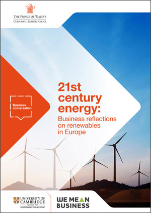 Renewables Report