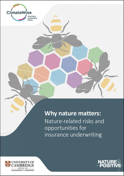 Why nature matters: Nature-related risks and opportunities for insurance underwriting