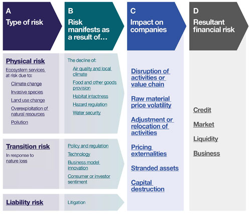 Financial Risk  Types and Example of Financial Risk with Advantages