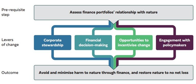 Levers for change diagram