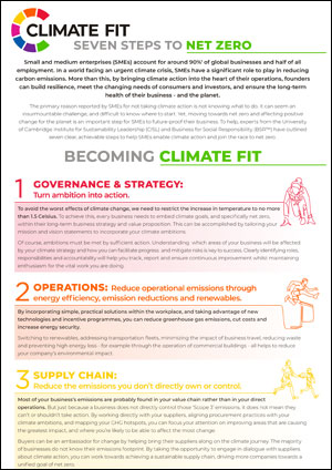 Seven steps to net zero