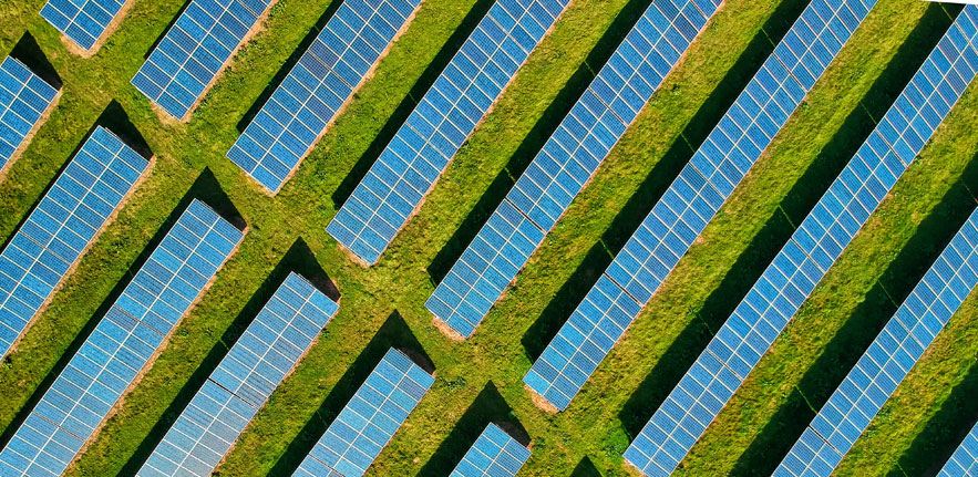 Solar farm panels