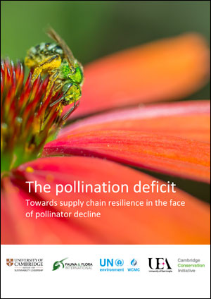 The pollination deficit