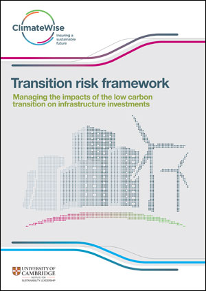 Transition Risk Framework
