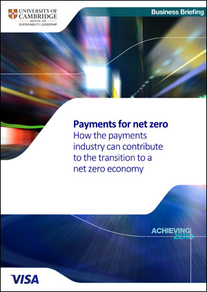 Payments for Net Zero