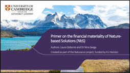 Primer on the financial materiality of Nature-based Solutions
