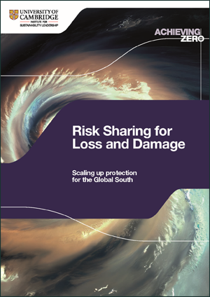 Risk sharing for Loss and Damage: Scaling up protection for the Global South