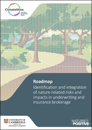 Roadmap: Identification and integration of nature-related risks and impacts in underwriting and insurance brokerage