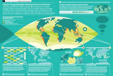 Fisheries infographic