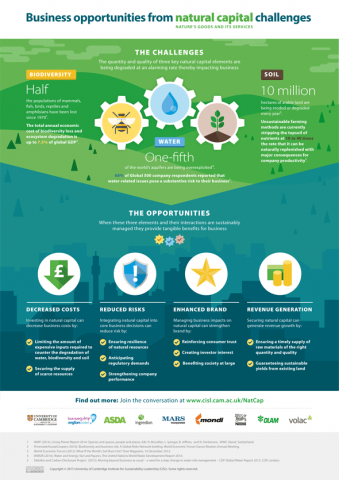 Natural Capital Infographic 590px