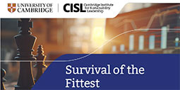 Read Survival of the Fittest: From ESG to Competitive Sustainability
